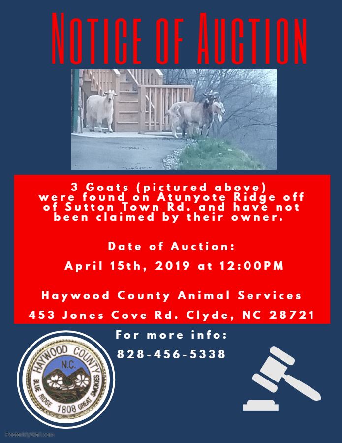 Livestock Auction Notice