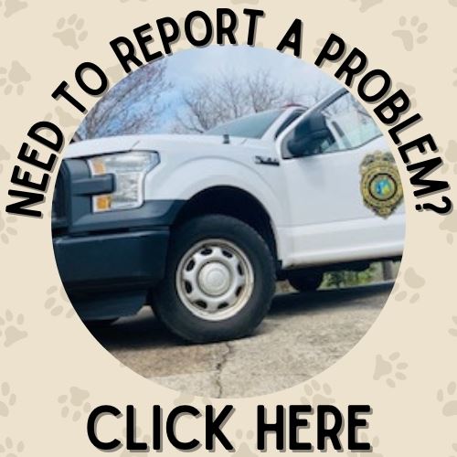 Need to report a problem (2)